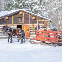 Horses pulling a winter sleigh.